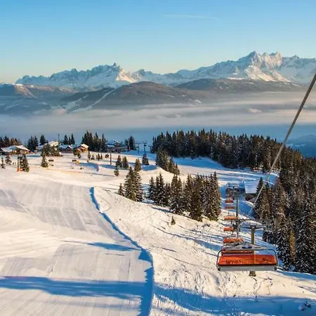 Vergissmeinnicht Flachau